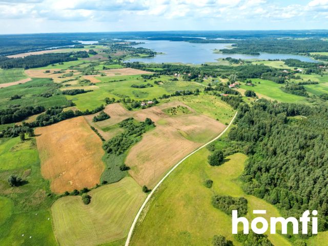 FOR SALE! PLOT 10 hectares /Warmia-Masuria/Olecki/Świętajno/Rogojny - Plot - Sale - Olecki, Świętajno / Rogojny
