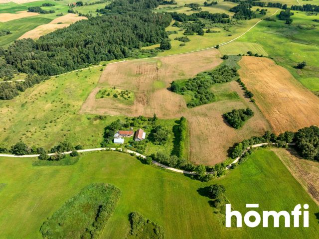 FOR SALE! PLOT 10 hectares /Warmia-Masuria/Olecki/Świętajno/Rogojny - Plot - Sale - Olecki, Świętajno / Rogojny