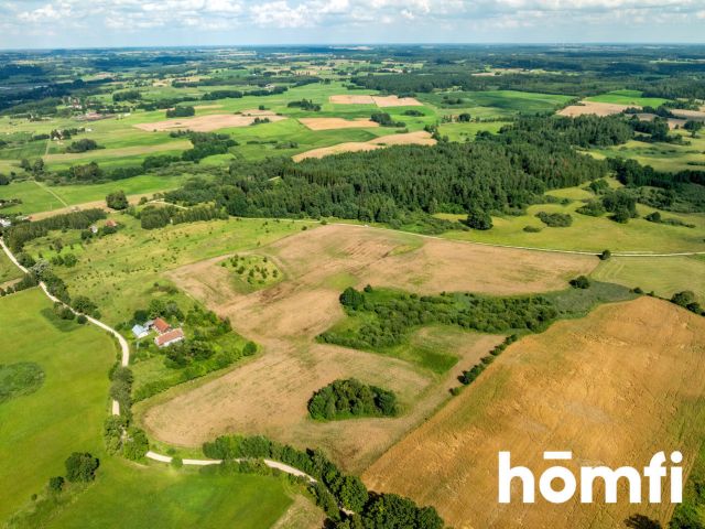 FOR SALE! PLOT 10 hectares /Warmia-Masuria/Olecki/Świętajno/Rogojny - Plot - Sale - Olecki, Świętajno / Rogojny