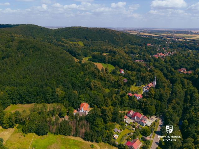 Palace with Current Building Permit / Investment / Nursing Home / SPA Hotel - Commercial premises - Sale - Świdnicki, Świdnica / Bystrzyca Górna