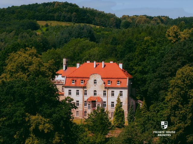 Palace with Current Building Permit / Investment / Nursing Home / SPA Hotel - Commercial premises - Sale - Świdnicki, Świdnica / Bystrzyca Górna