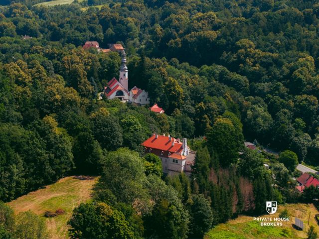 Palace with Current Building Permit / Investment / Nursing Home / SPA Hotel - Commercial premises - Sale - Świdnicki, Świdnica / Bystrzyca Górna