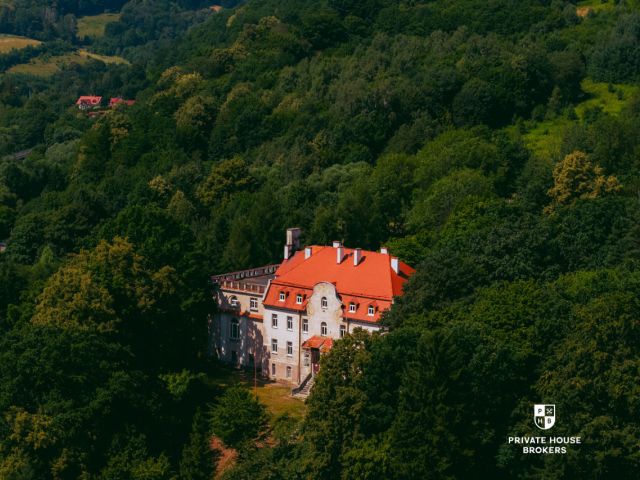Palace with Current Building Permit / Investment / Nursing Home / SPA Hotel - Будинок - Продаж - Świdnicki, Świdnica / Bystrzyca Górna