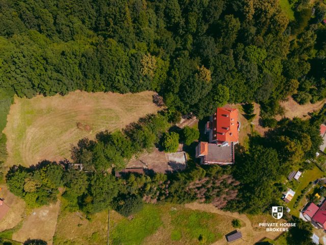 Palace with Current Building Permit / Investment / Nursing Home / SPA Hotel - Будинок - Продаж - Świdnicki, Świdnica / Bystrzyca Górna