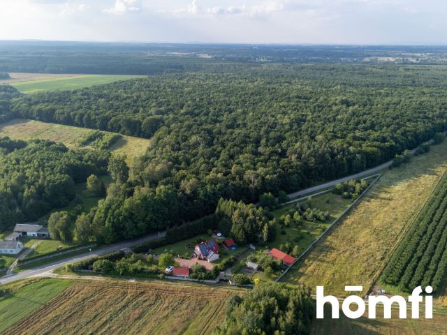 Dom z prywatnym siedliskiem | 6005 m² - Dom - Sprzedaż - Kielecki, Chmielnik / Śladków Duży