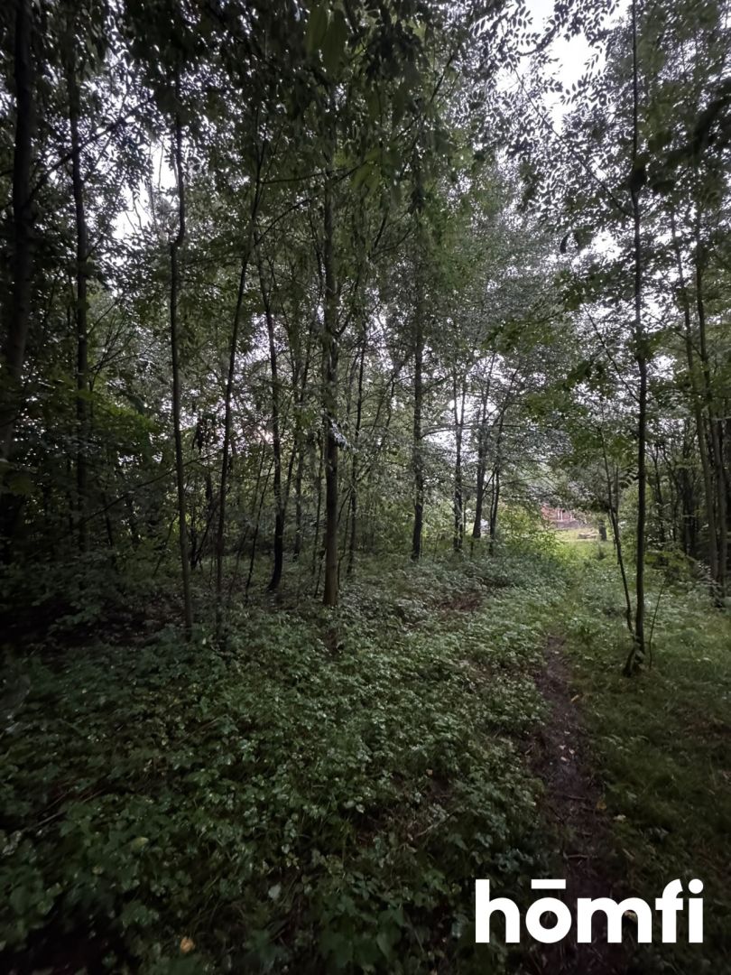 building plot with private forest - Plot - Sale - Myślenicki, Sułkowice / Rudnik
