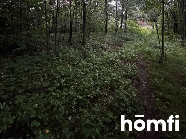 building plot with private forest - Plot - Sale - Myślenicki, Sułkowice / Rudnik