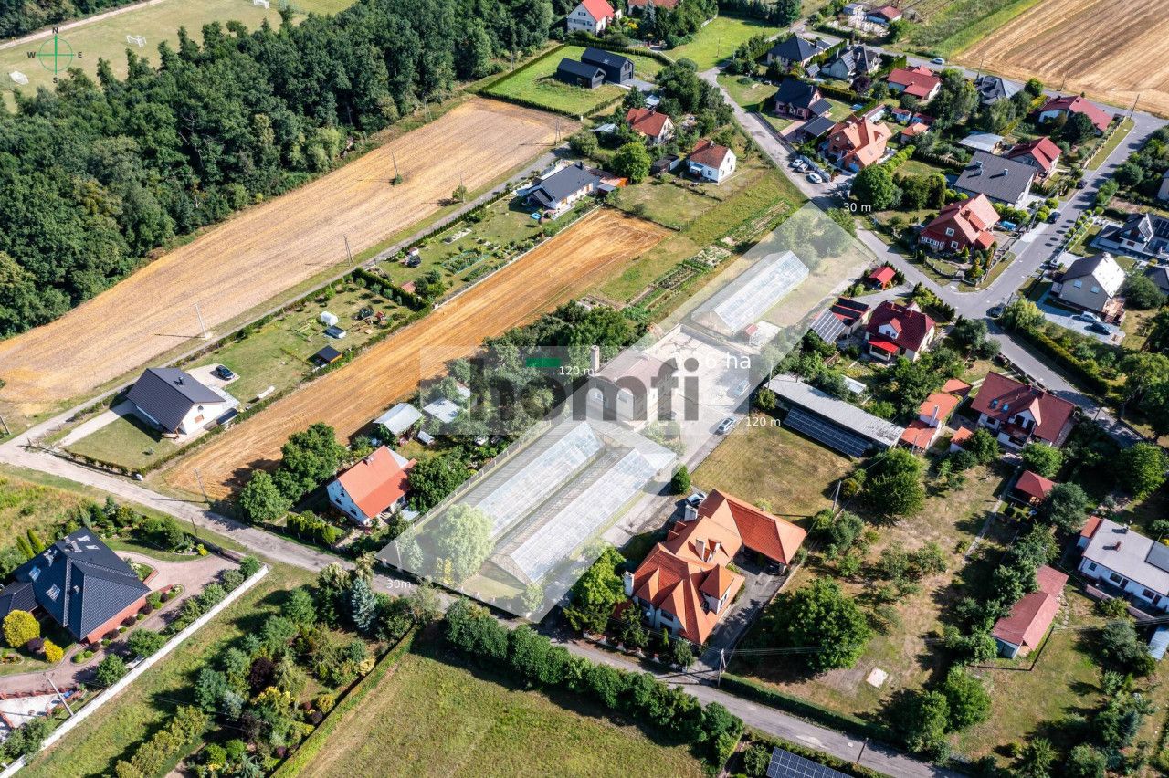 Property with potential - house and 4 greenhouses - House - Sale - Nyski, Skoroszyce / Chróścina