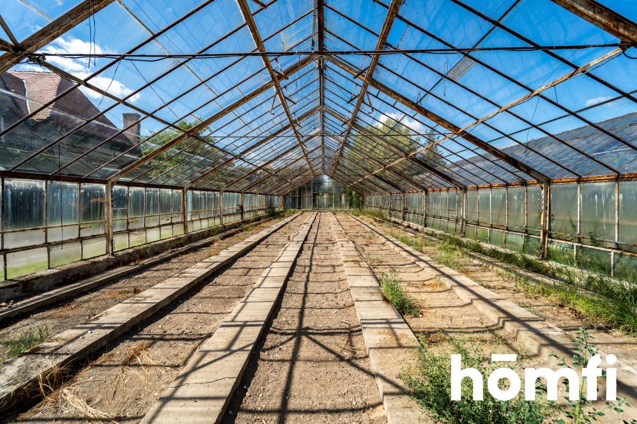 Property with potential - house and 4 greenhouses - House - Sale - Nyski, Skoroszyce / Chróścina