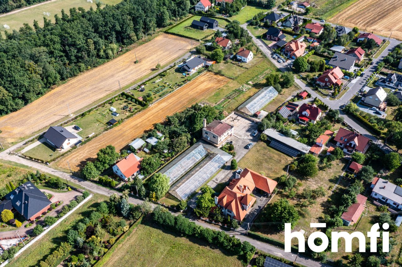 Property with potential - house and 4 greenhouses - House - Sale - Nyski, Skoroszyce / Chróścina