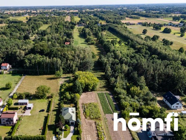 Plot with forest and development conditions - Plot - Sale - Radomski, Jedlnia-Letnisko / Antoniówka