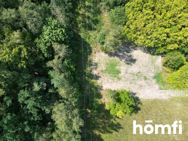 Plot with forest and development conditions - Plot - Sale - Radomski, Jedlnia-Letnisko / Antoniówka