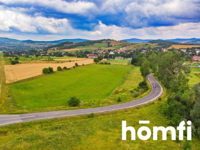  - Działka - Sprzedaż - Kamiennogórski, Kamienna Góra / Przedwojów