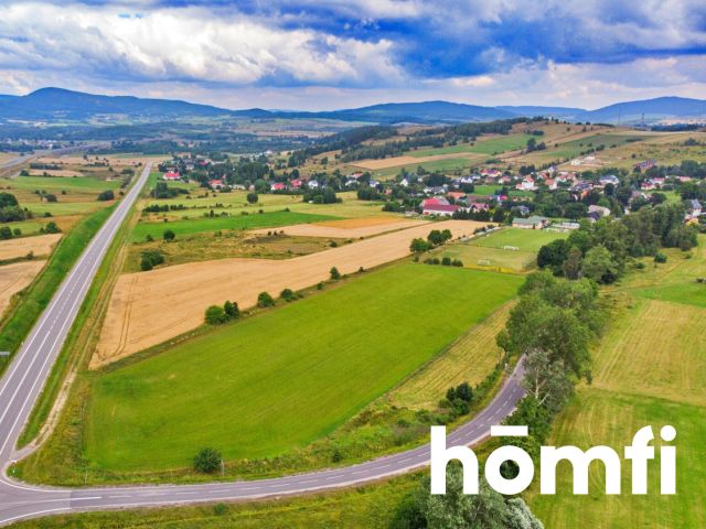 - Działka - Sprzedaż - Kamiennogórski, Kamienna Góra / Przedwojów