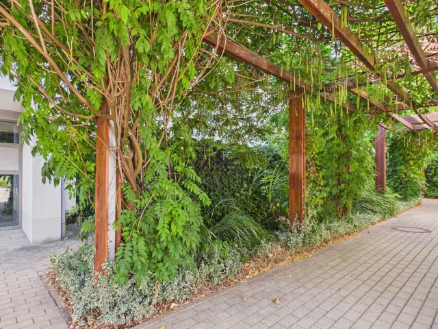 Comfortable 3-bedroom apartment with a terrace and a garden right next to the Eastern Park - Apartment - Rent - Wrocław, Krzyki