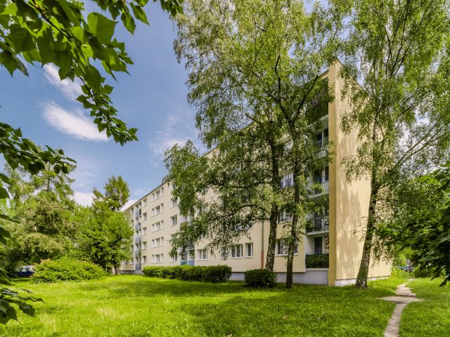 Studio apartment | Renovated | Dąbrowa - Apartment - Rent - Łódź, Górna