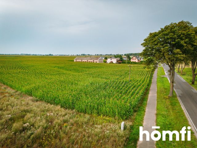 Two Building Plots Near the Łubianka Border – Building Conditions - Plot - Sale - Toruński, Łubianka / Biskupice