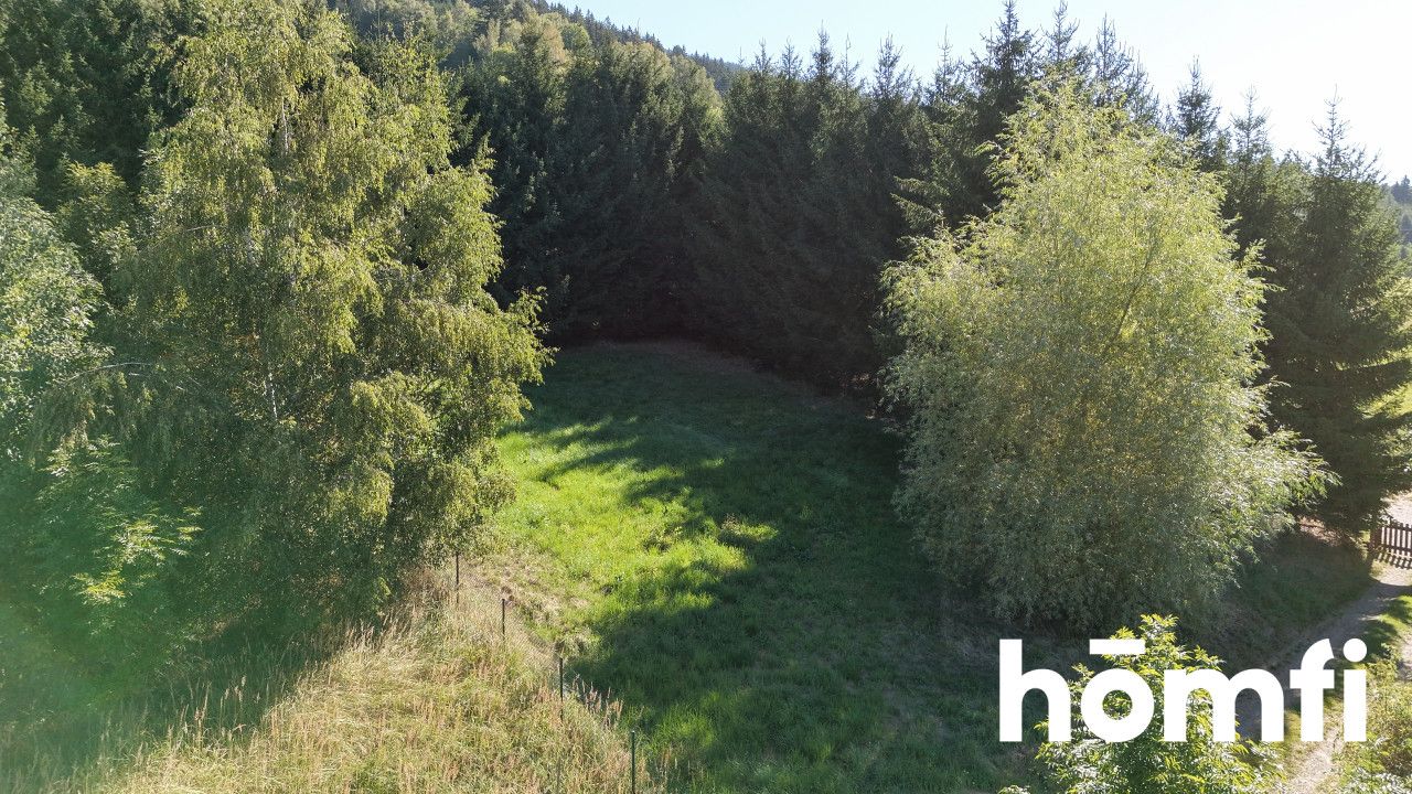 Sunny 11-are building plot in the Owl Mountains - Plot - Sale - Kłodzki, Nowa Ruda / Sokolec