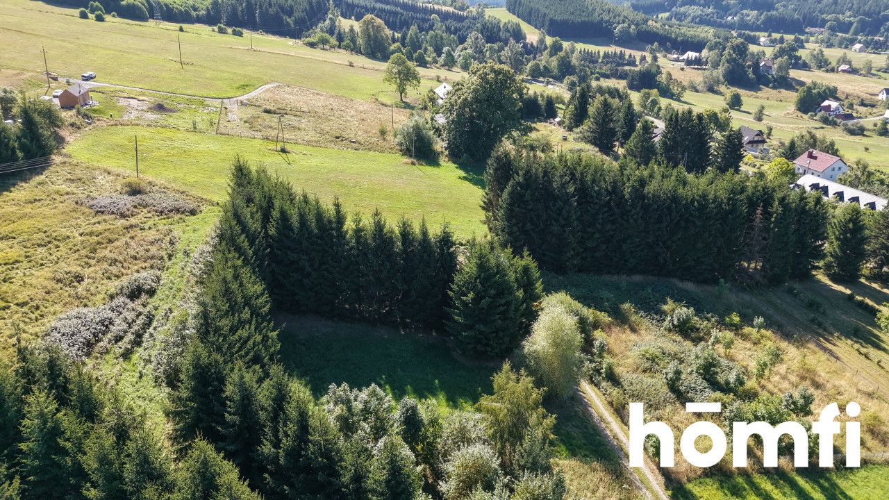 Sunny 11-are building plot in the Owl Mountains - Plot - Sale - Kłodzki, Nowa Ruda / Sokolec