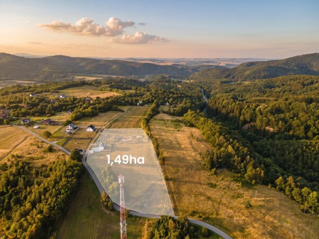 Gotowy biznes z ROI 16%| Domek i działka 3645m2| - Dom - Sprzedaż - Ząbkowicki, Bardo / Dębowina