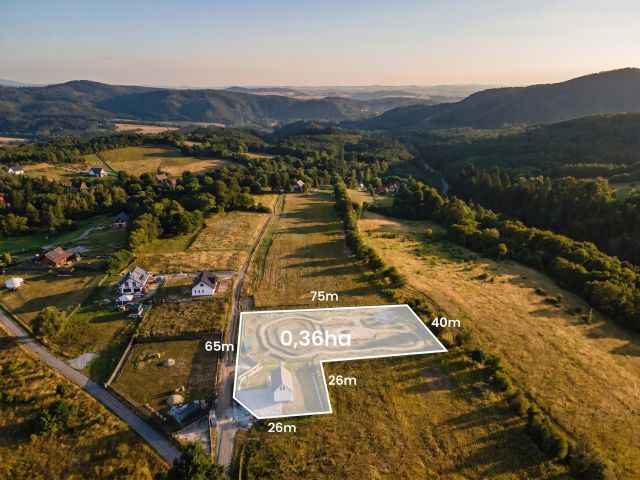 Gotowy biznes z ROI 16%| Domek i działka 3645m2| - Dom - Sprzedaż - Ząbkowicki, Bardo / Dębowina