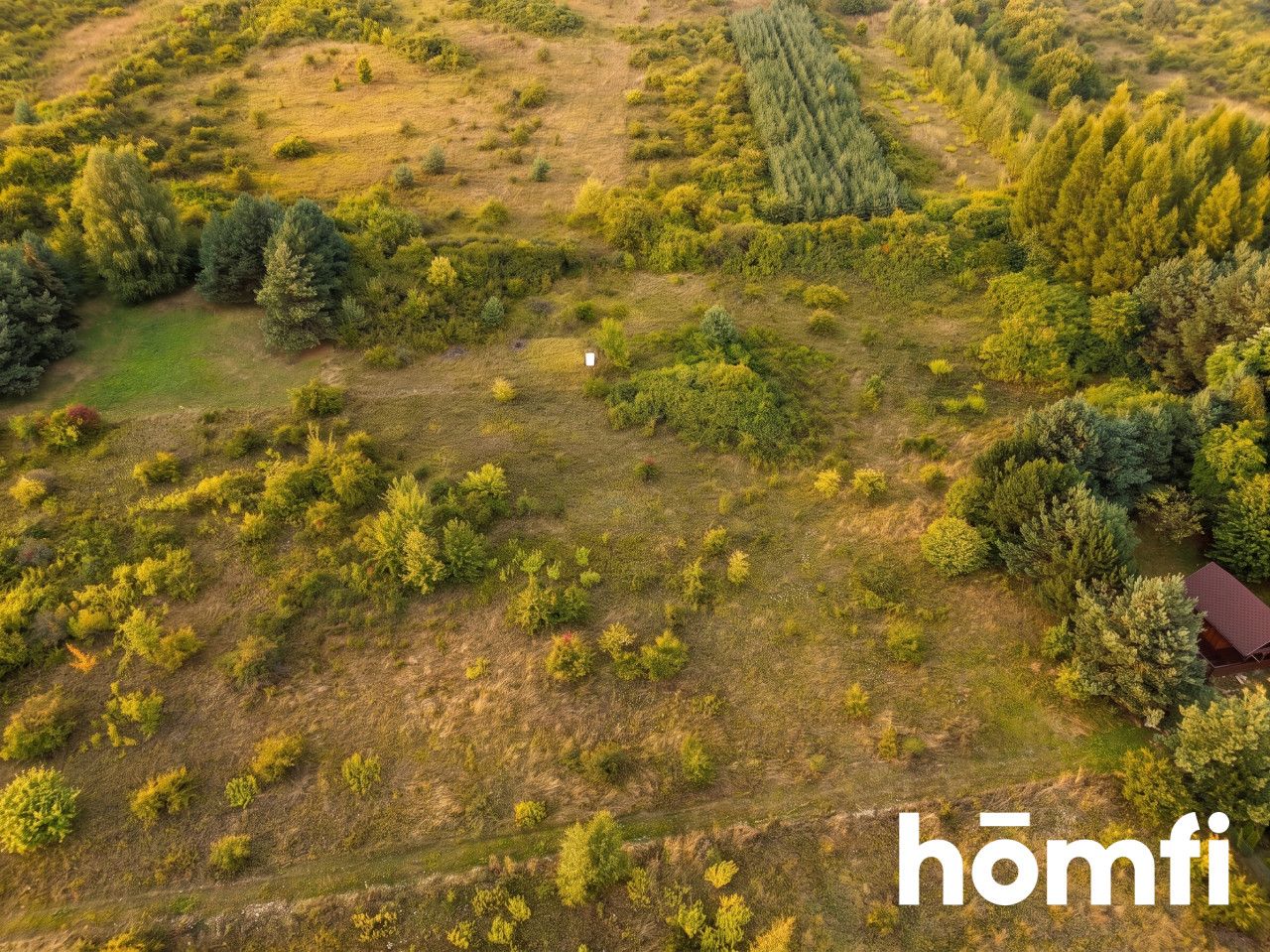 Recreational Plot in Chechło - Ділянка - Продаж - Olkuski, Klucze / Chechło