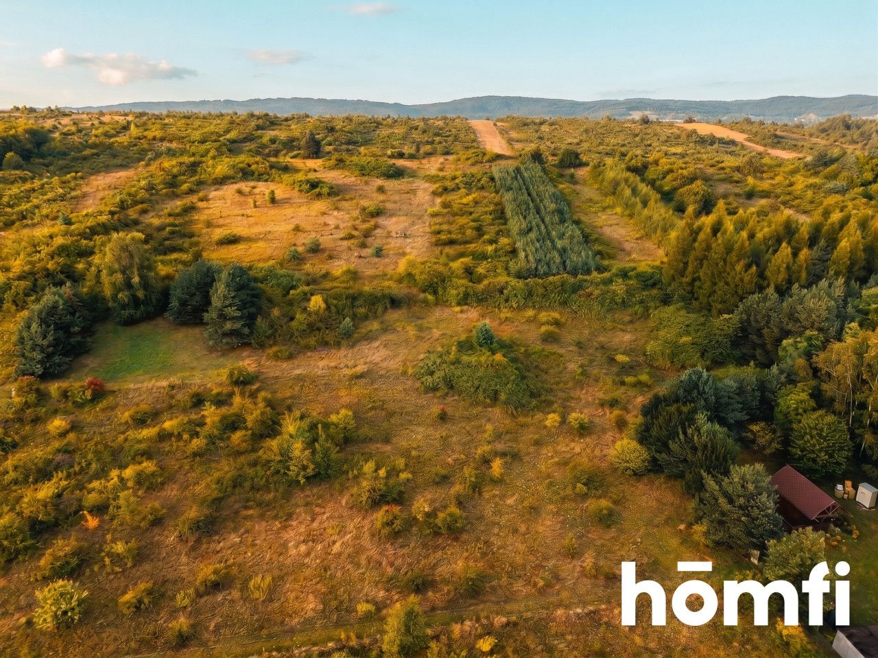 Recreational Plot in Chechło - Ділянка - Продаж - Olkuski, Klucze / Chechło