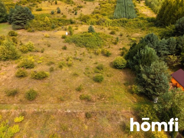 Recreational Plot in Chechło - Ділянка - Продаж - Olkuski, Klucze / Chechło