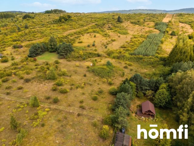 Recreational Plot in Chechło - Plot - Sale - Olkuski, Klucze / Chechło