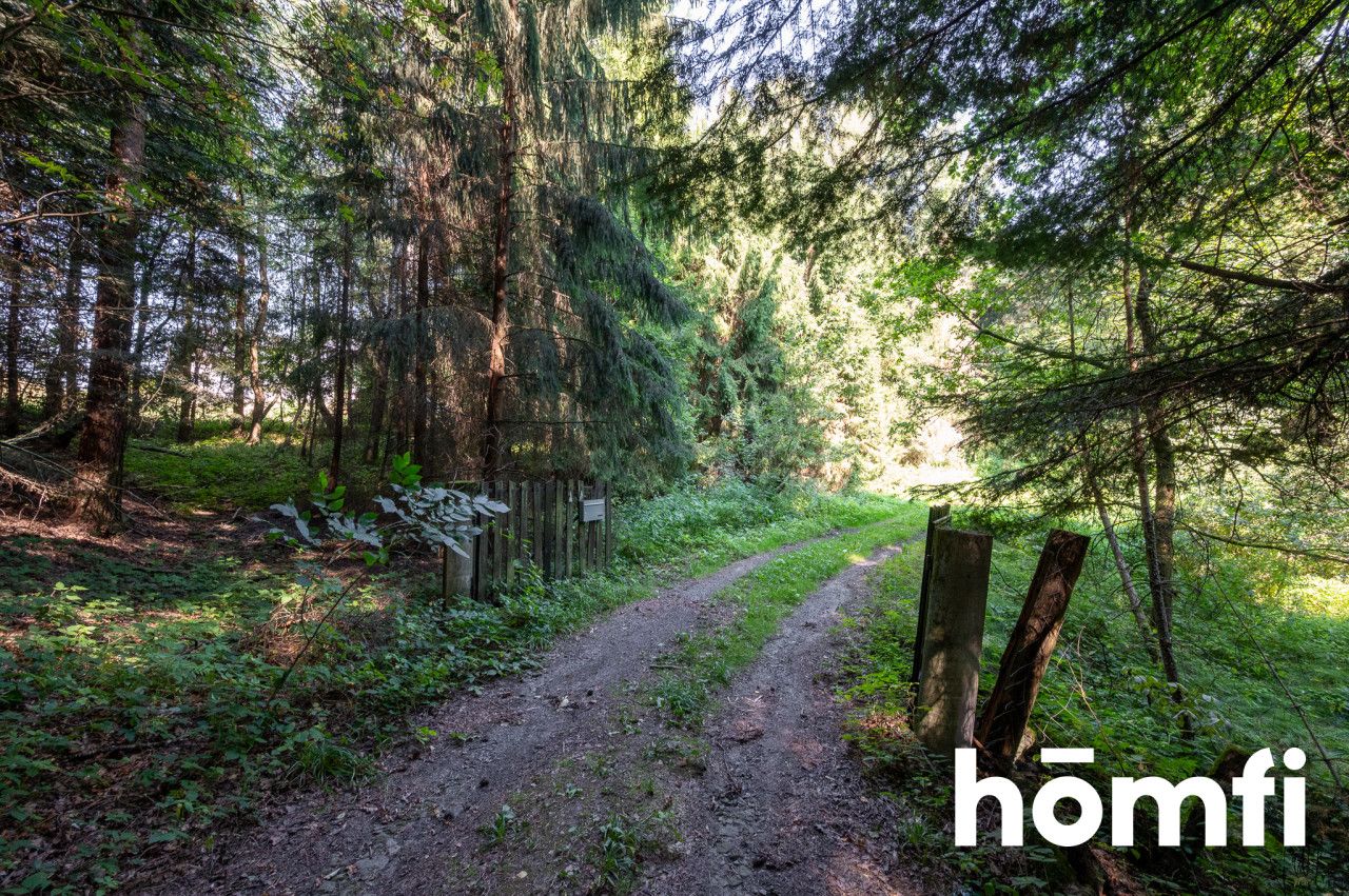 Unique: House of 262m2 on 1 ha in the middle of the forest - House - Sale - Wadowicki, Wadowice / Wysoka