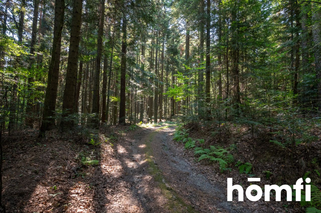 Unique: House of 262m2 on 1 ha in the middle of the forest - House - Sale - Wadowicki, Wadowice / Wysoka