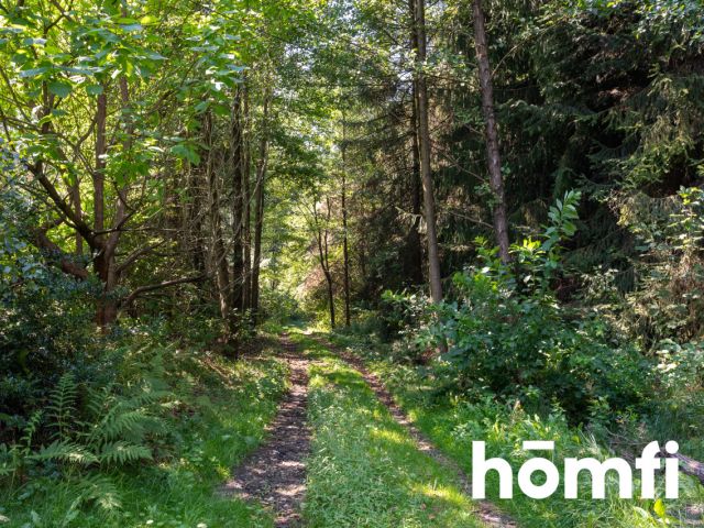 Unique: House of 262m2 on 1 ha in the middle of the forest - House - Sale - Wadowicki, Wadowice / Wysoka