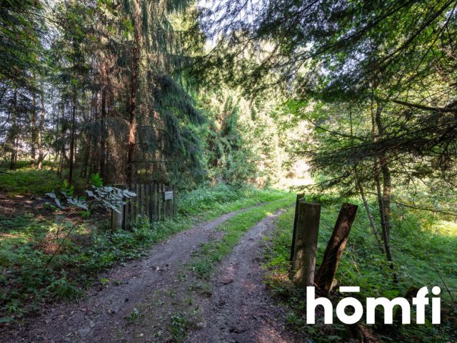 Unique: House of 262m2 on 1 ha in the middle of the forest - House - Sale - Wadowicki, Wadowice / Wysoka