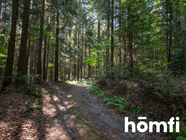 Unique: House of 262m2 on 1 ha in the middle of the forest - House - Sale - Wadowicki, Wadowice / Wysoka
