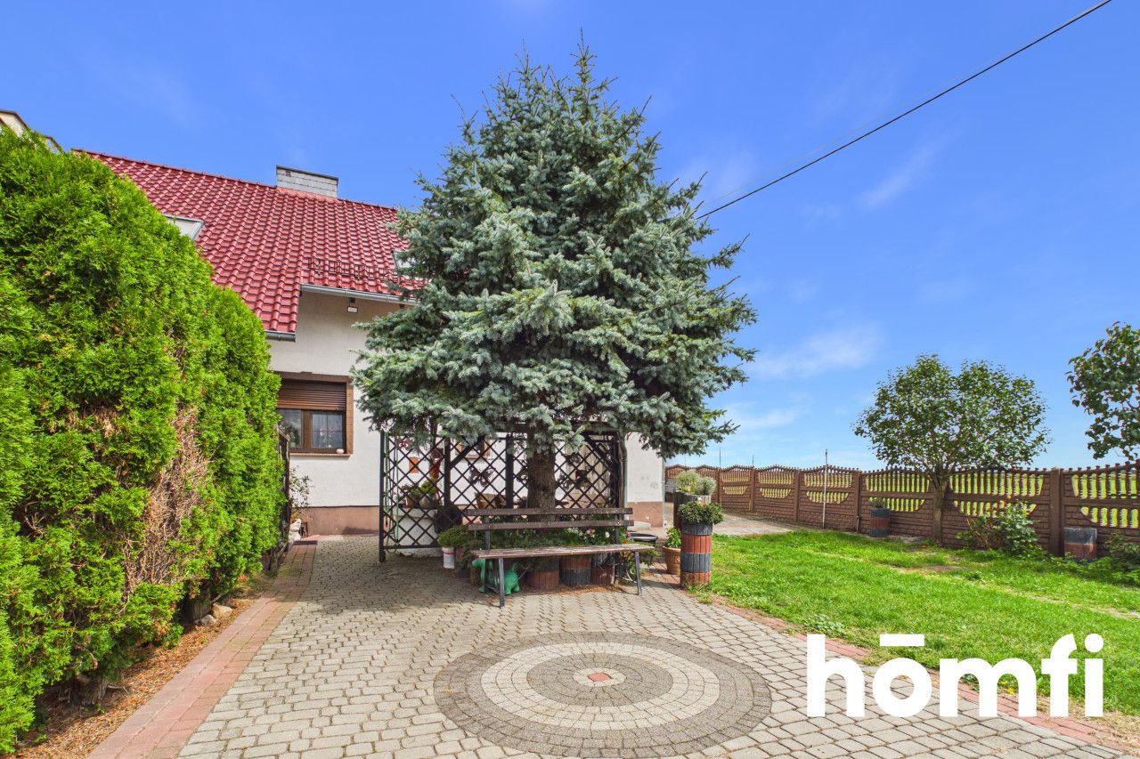 2 rooms | Centawa | Lavender field view | Garden - House - Rent - Strzelecki, Jemielnica / Centawa