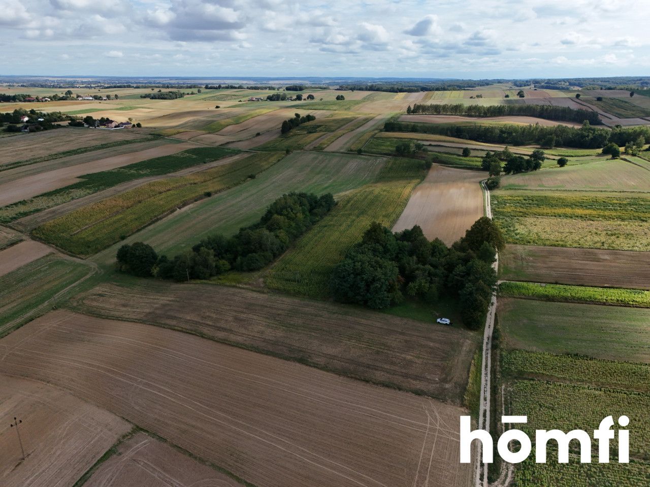 Homestead on Elevated Land – 3,407 m² – Źrebce - House - Sale - Zamojski, Sułów / Źrebce