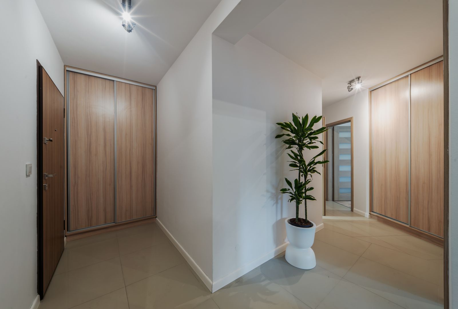 3 separate rooms and 2 balconies / Large flat in Wilda - Apartment - Sale - Poznań, Wilda