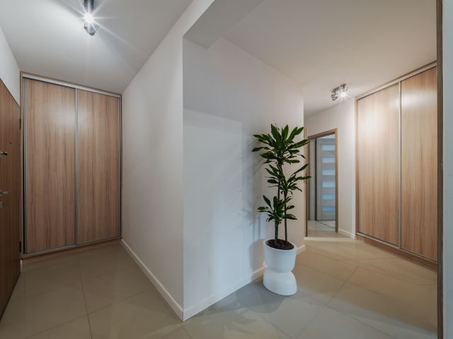 3 separate rooms and 2 balconies / Large flat in Wilda - Квартира - Продаж - Poznań, Wilda