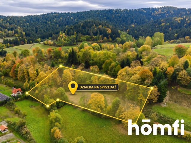 BUILDING PLOT WITH A WONDERFUL LAKE VIEW – Plot with planning permission for a single-family house - Plot - Sale - Leski, Solina / Zawóz