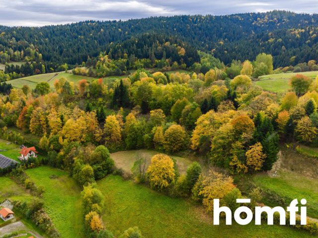 BUILDING PLOT WITH A WONDERFUL LAKE VIEW – Plot with planning permission for a single-family house - Plot - Sale - Leski, Solina / Zawóz