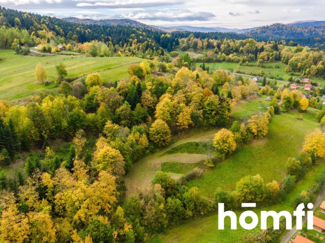 BUILDING PLOT WITH A WONDERFUL LAKE VIEW – Plot with planning permission for a single-family house - Plot - Sale - Leski, Solina / Zawóz