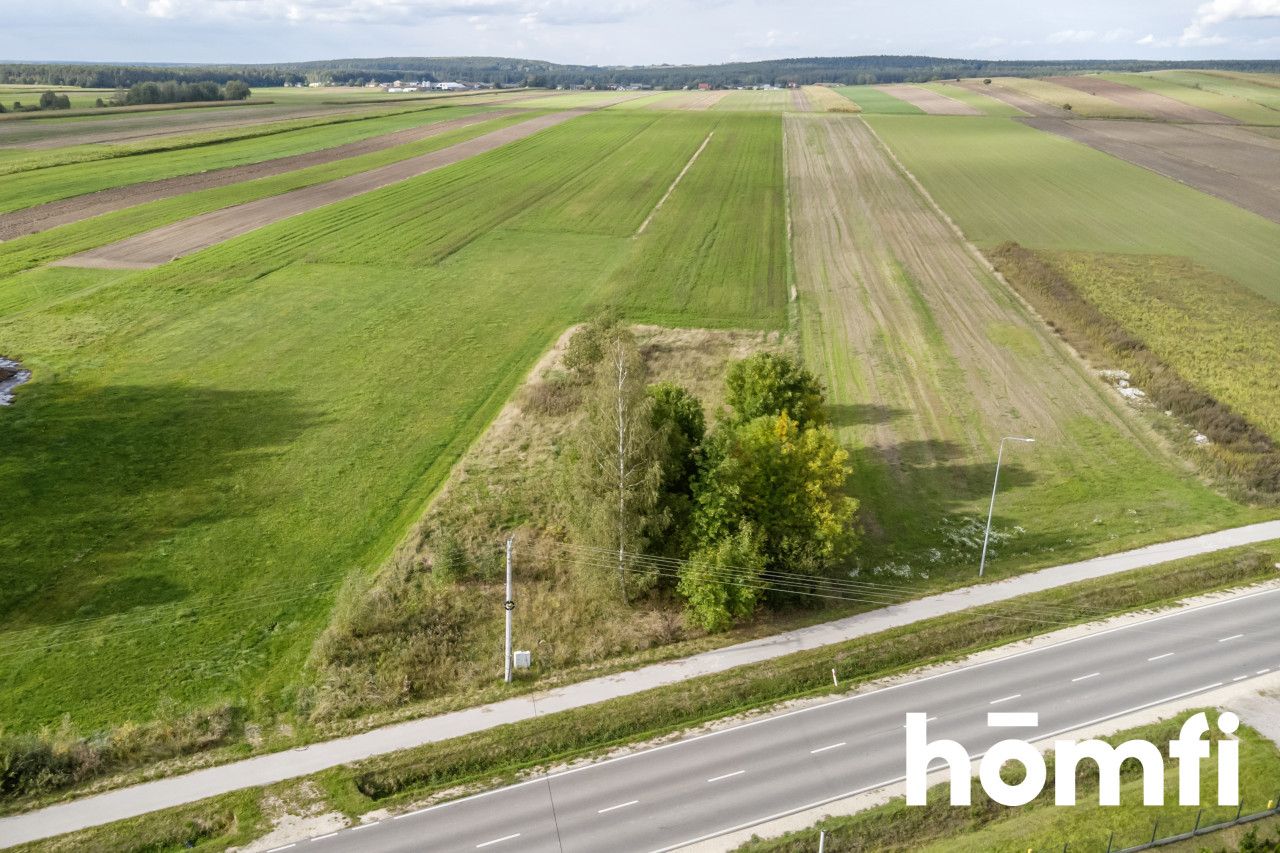 Plot for sale - Plot - Sale - Kielecki, Łopuszno / Sarbice Pierwsze