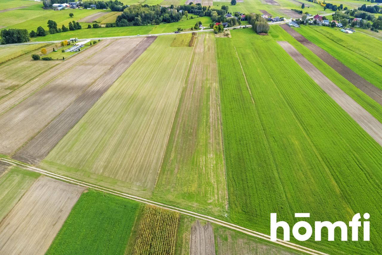 Plot for sale - Plot - Sale - Kielecki, Łopuszno / Sarbice Pierwsze