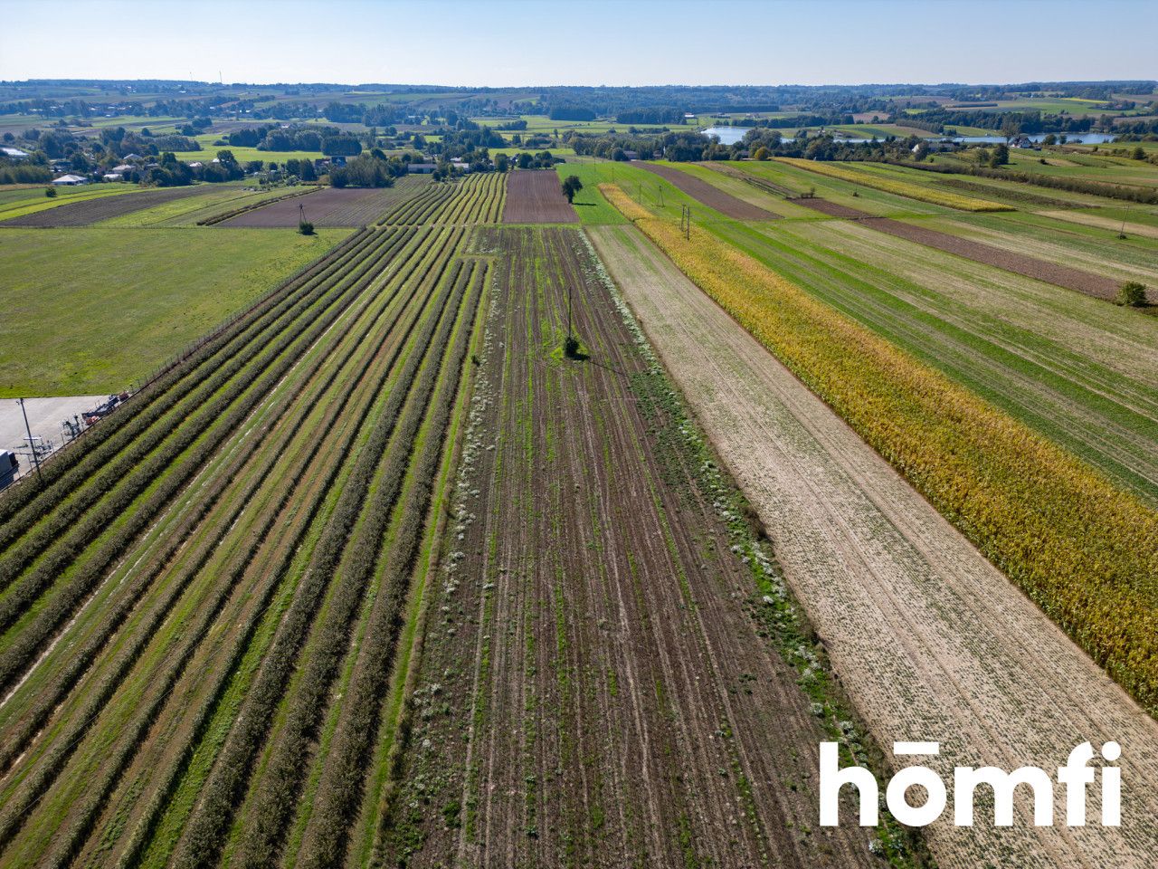 Investment land – Residential (MN) + Services – Łany, Markuszów Municipality - Plot - Sale - Puławski, Markuszów / Łany