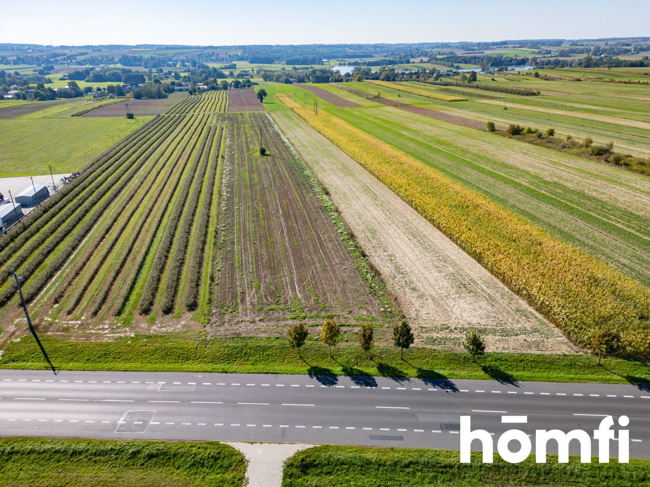 Investment land – Residential (MN) + Services – Łany, Markuszów Municipality - Plot - Sale - Puławski, Markuszów / Łany
