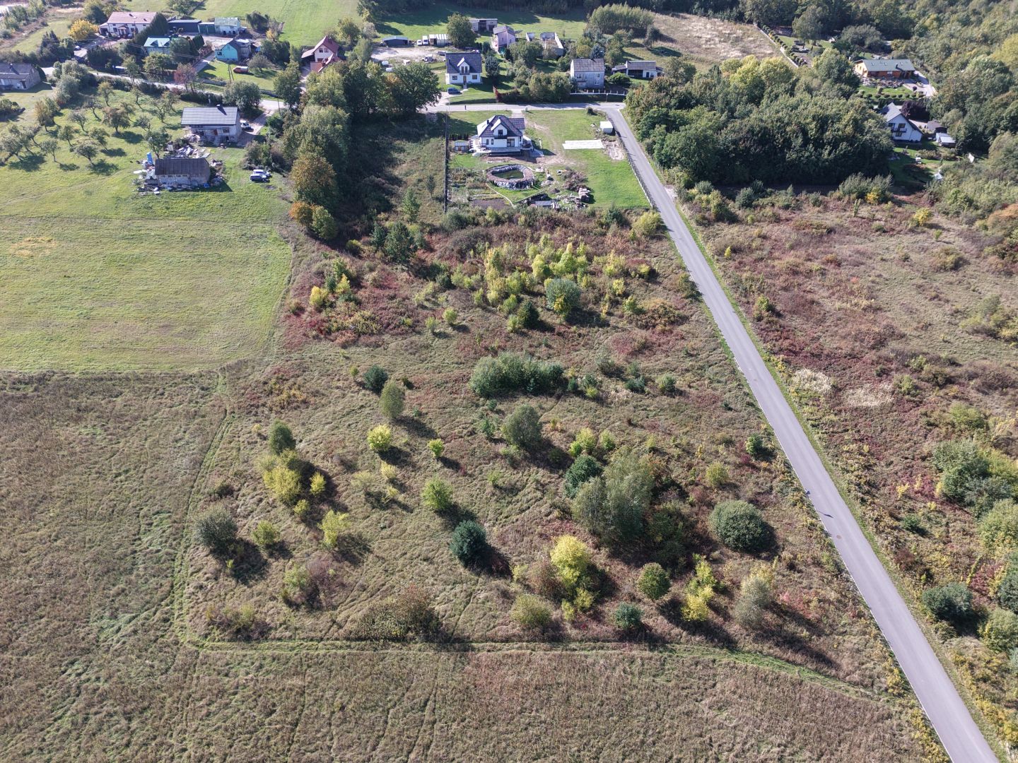 Plot of land 5,000 m² with Planning Conditions - Plot - Sale - Kielecki, Morawica / Dębska Wola
