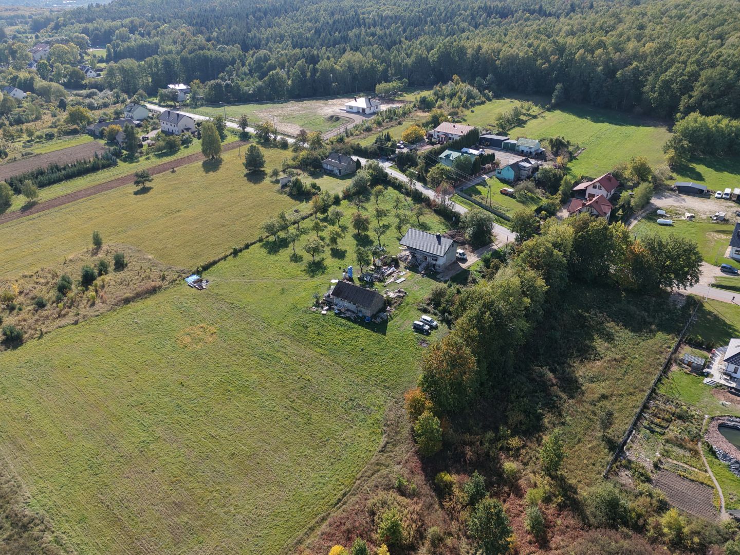 Plot of land 5,000 m² with Planning Conditions - Plot - Sale - Kielecki, Morawica / Dębska Wola