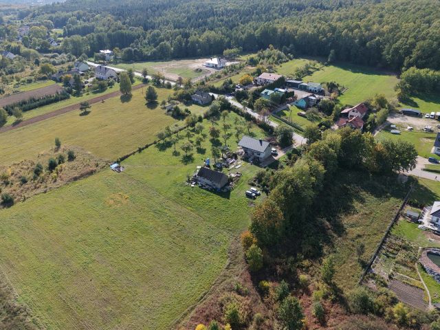 Plot of land 5,000 m² with Planning Conditions - Ділянка - Продаж - Kielecki, Morawica / Dębska Wola