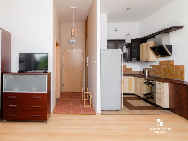 Studio apartment near Sky, high ceilings – 3m - Apartment - Rent - Wrocław, Krzyki