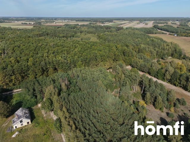 Działka budowlana w komplecie z przyrodą, ciszą i spokojem - Działka - Sprzedaż - Zwoleński, Przyłęk / Ławeczko Stare